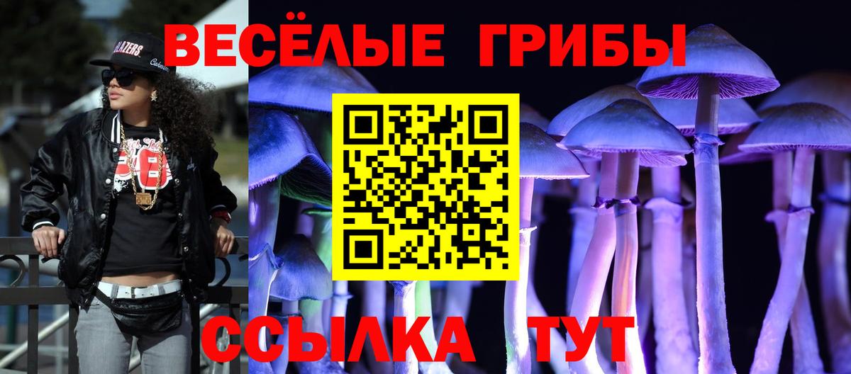 Галлюциногенные грибы Cubensis  наркошоп  Вход с VPN  Семилуки  Псилоцибиновые грибы Psilocybine cubensis 